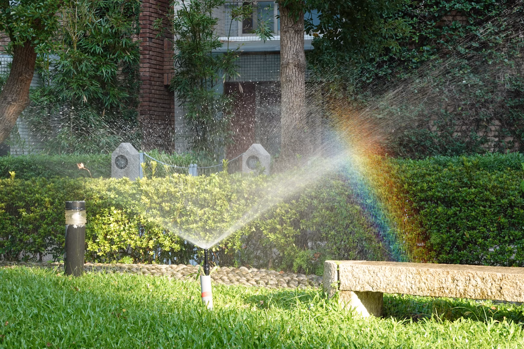 Efficient sprinkler system irrigating a healthy Calgary lawn.