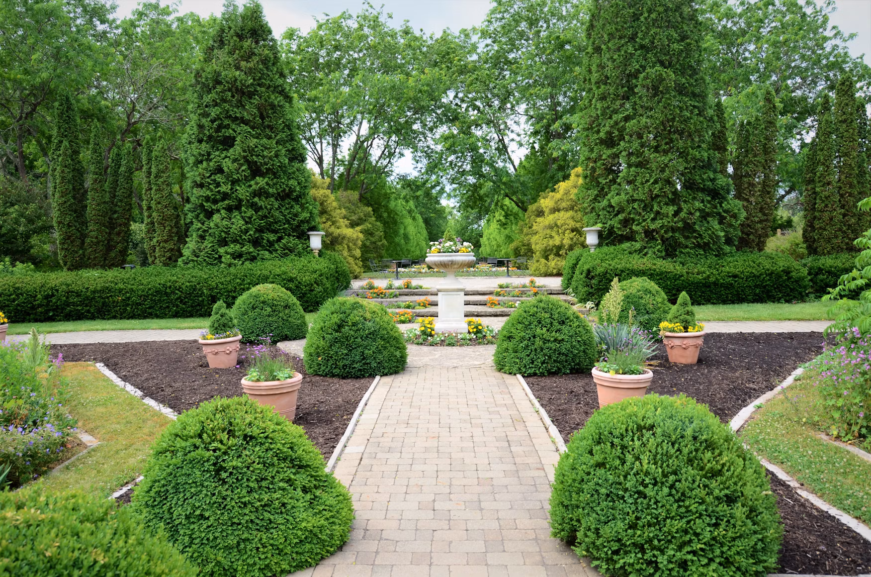 Professional tree planting service enhancing a Calgary landscape.